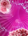 /album/fotogaleria-inicio/invitacion-fucsia-jpg/